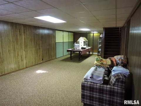 202 Chestnut St, Varna, IL 61375 photo 26