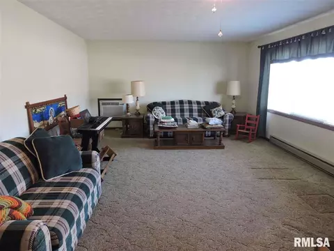 202 Chestnut St, Varna, IL 61375 photo 9