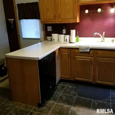 384 W Maple St, Canton, IL 61520 photo 5