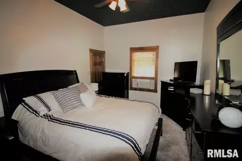 209 Pleasant, Benson, IL 61516 photo 17