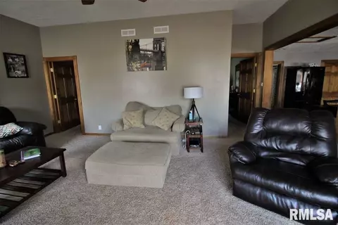209 Pleasant, Benson, IL 61516 photo 13