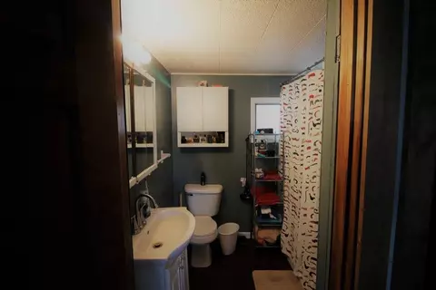 209 Pleasant, Benson, IL 61516 photo 20