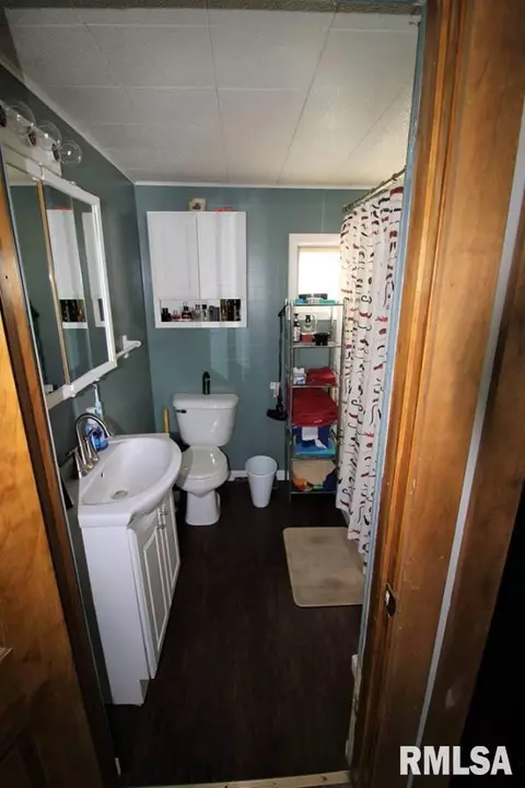 209 Pleasant, Benson, IL 61516 photo 21