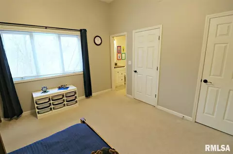 805 W Bennett Ct, Dunlap, IL 61525 photo 21