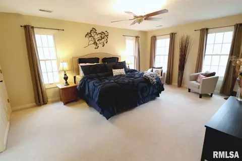 805 W Bennett Ct, Dunlap, IL 61525 photo 17