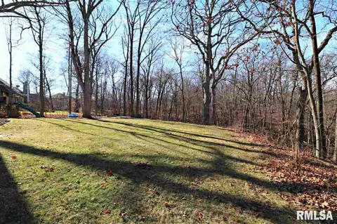805 W Bennett Ct, Dunlap, IL 61525 photo 36
