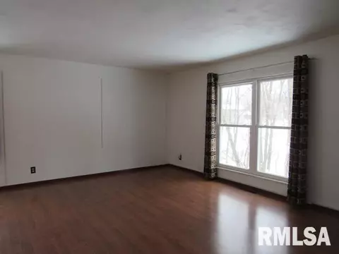 4828 S Queen Aleta Ct, Mapleton, IL 61547 photo 5