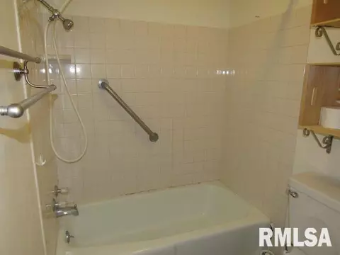 4828 S Queen Aleta Ct, Mapleton, IL 61547 photo 16