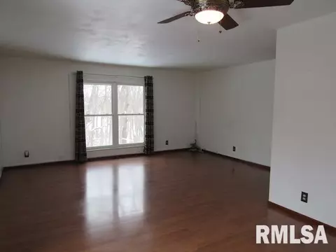 4828 S Queen Aleta Ct, Mapleton, IL 61547 photo 8