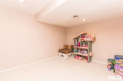 9731 W Whittingham Pt, Mapleton, IL 61547 photo 33