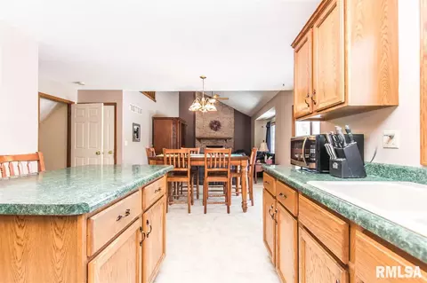 9731 W Whittingham Pt, Mapleton, IL 61547 photo 10