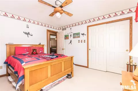 9731 W Whittingham Pt, Mapleton, IL 61547 photo 25