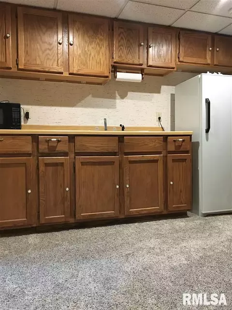 38 Maple Ridge Dr, Morton, IL 61550 photo 31