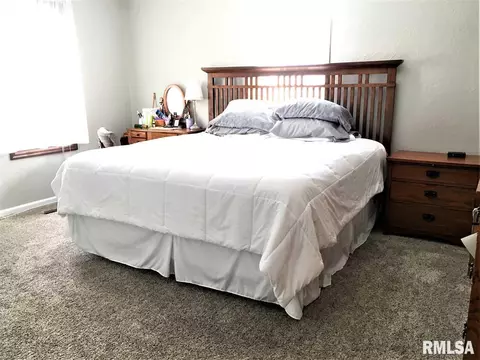 38 Maple Ridge Dr, Morton, IL 61550 photo 21