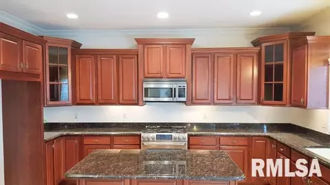 615 S Prairieview Dr, Dunlap, IL 61525 photo 4