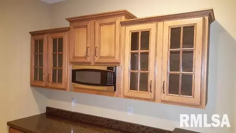615 S Prairieview Dr, Dunlap, IL 61525 photo 28