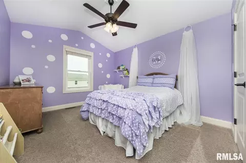 11118 N Saddlehorn Way, Dunlap, IL 61525 photo 27
