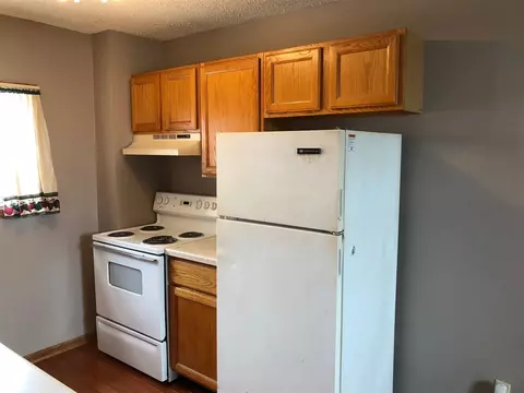 111 E Santa Fe Ave, Toluca, IL 61369 photo 17