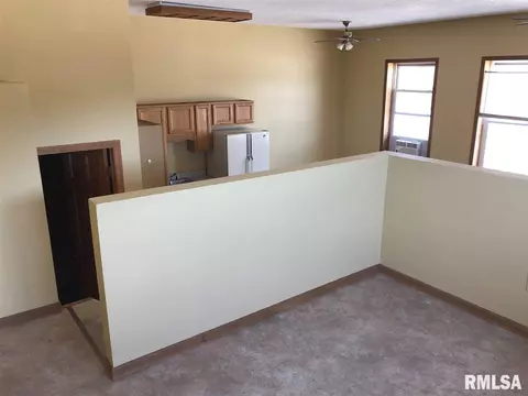 111 E Santa Fe Ave, Toluca, IL 61369 photo 9