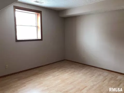 111 E Santa Fe Ave, Toluca, IL 61369 photo 21