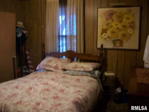 204 E Birch St, Canton, IL 61520 photo 18
