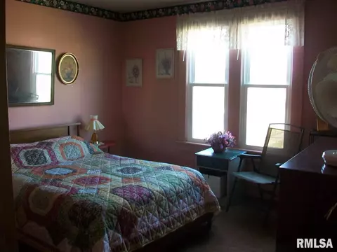 204 E Birch St, Canton, IL 61520 photo 22