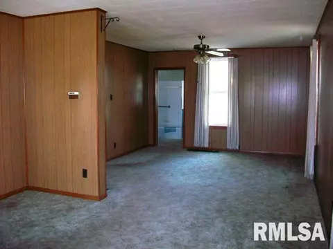 204 E Birch St, Canton, IL 61520 photo 10