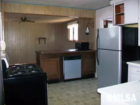 204 E Birch St, Canton, IL 61520 photo 4