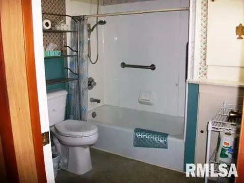 204 E Birch St, Canton, IL 61520 photo 15