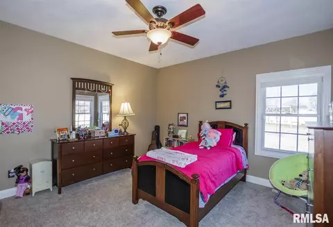 4 Bishops Ct, Washington, IL 61571 photo 20