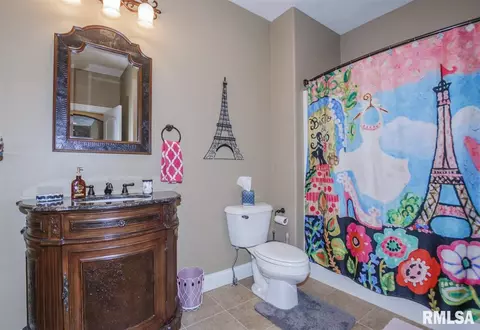 4 Bishops Ct, Washington, IL 61571 photo 19