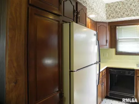 1220 E Willcox, Peoria, IL 61603 photo 22