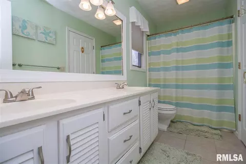 305 W Broken Lance Ct, Dunlap, IL 61525 photo 24