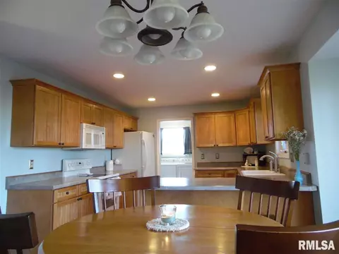 4705 S Queen Aleta Ct, Mapleton, IL 61547 photo 19