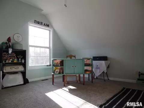 4705 S Queen Aleta Ct, Mapleton, IL 61547 photo 35