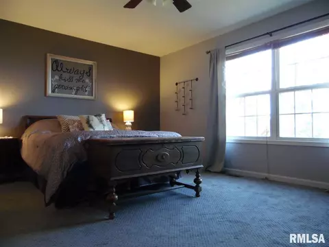 4705 S Queen Aleta Ct, Mapleton, IL 61547 photo 26