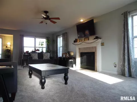 4705 S Queen Aleta Ct, Mapleton, IL 61547 photo 15