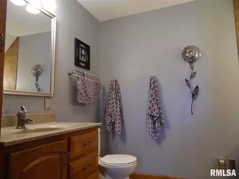 4705 S Queen Aleta Ct, Mapleton, IL 61547 photo 28