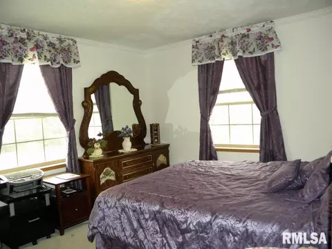 8138 Desutter Rd, Manito, IL 61546 photo 21