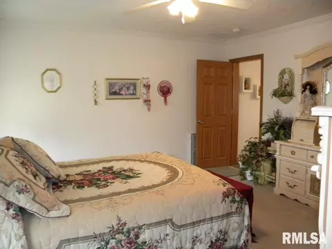 8138 Desutter Rd, Manito, IL 61546 photo 23