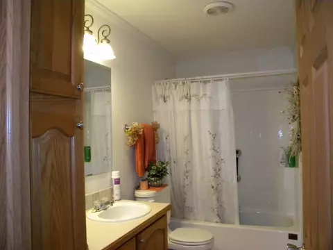 8138 Desutter Rd, Manito, IL 61546 photo 19