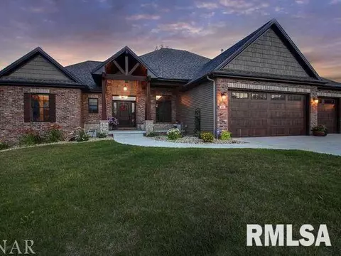 101 Ozzie Ct, Downs, IL 61736 photo 1