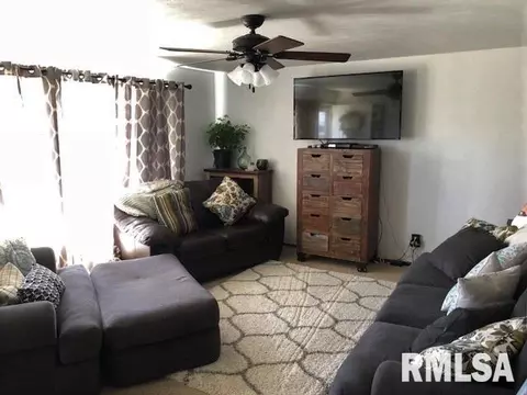 1275 Sunview Dr, Canton, IL 61520 photo 3