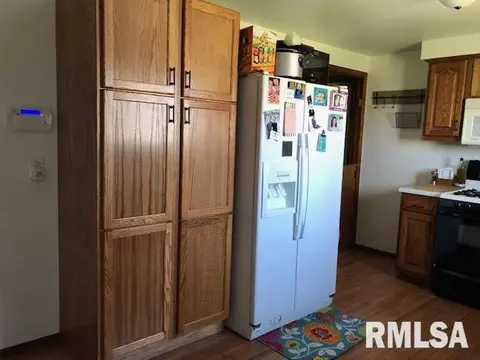 1275 Sunview Dr, Canton, IL 61520 photo 6
