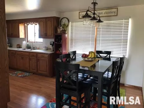 1275 Sunview Dr, Canton, IL 61520 photo 4