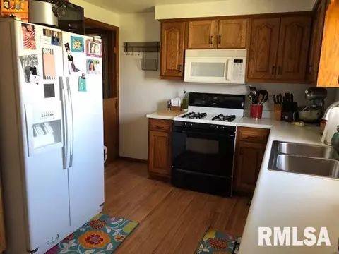 1275 Sunview Dr, Canton, IL 61520 photo 5