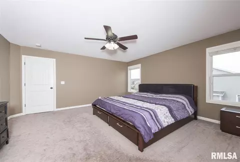 11007 N Mosscliff Ct, Dunlap, IL 61525 photo 21