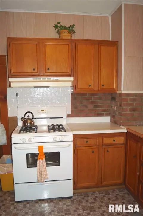166 E Birch, Canton, IL 61520 photo 7