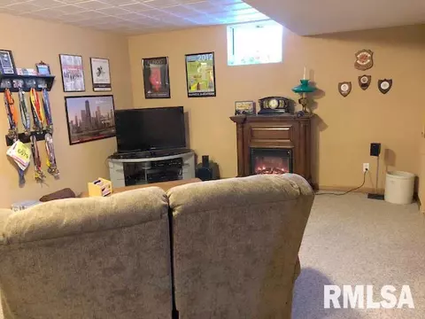 10398 E Cameron Rd, Cuba, IL 61427 photo 25