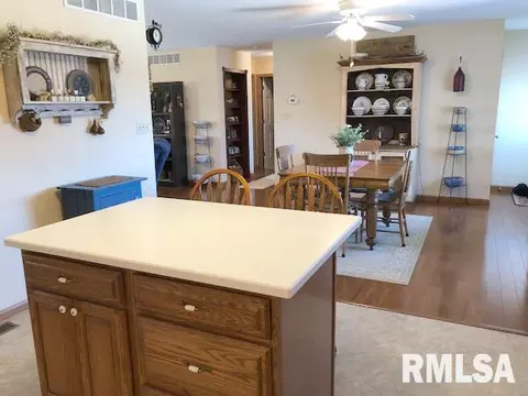 10398 E Cameron Rd, Cuba, IL 61427 photo 8